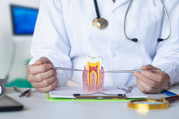 Best Broken or Cracked Tooth Emergency Dentist in Bryson City, NC